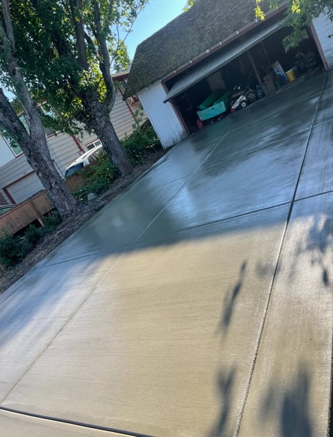 Wet driveway in front of garage with tree and house covered in ivy