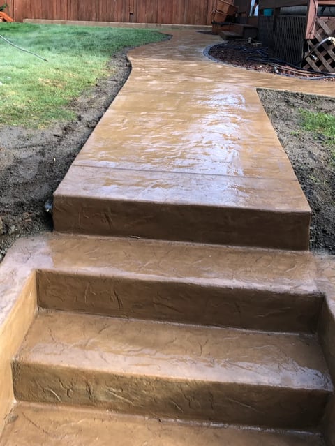 Freshly poured concrete walkway with steps, showing wet surface and surrounding grass and metal storage shed in backyard